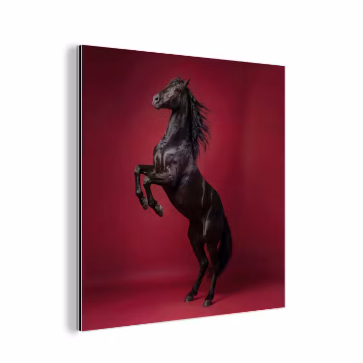 Hengst - Steigert - Rood aluminium wit klein -3d