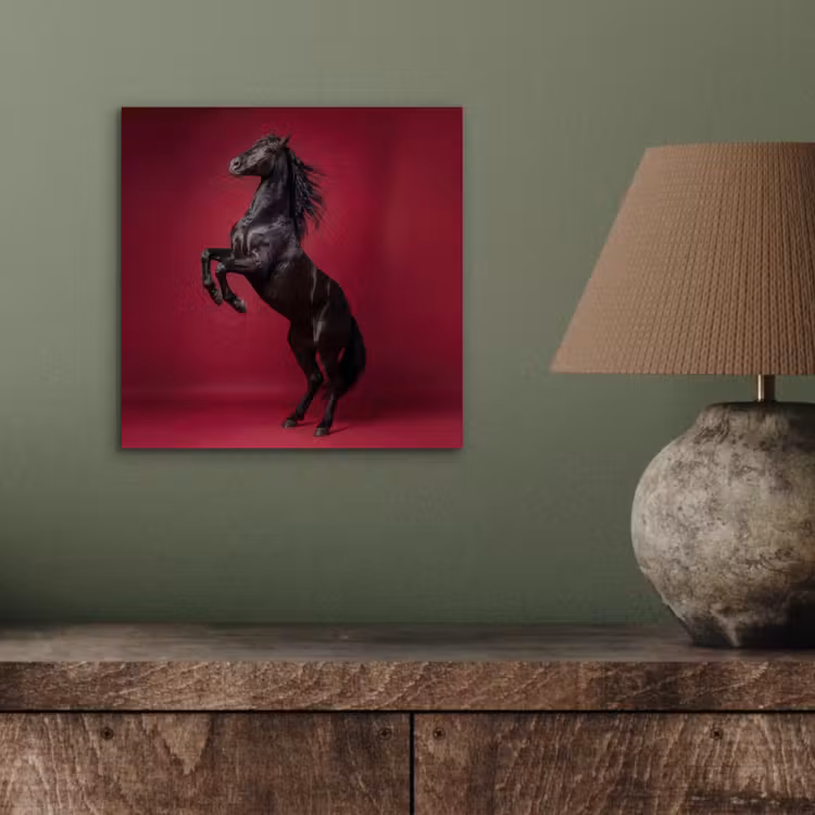 Hengst - Steigert - Rood aluminium wit klein -sfeer2
