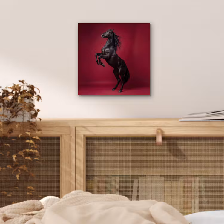 Hengst - Steigert - Rood aluminium wit klein -sfeer3