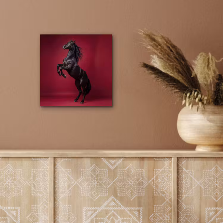 Hengst - Steigert - Rood aluminium wit klein -sfeer4