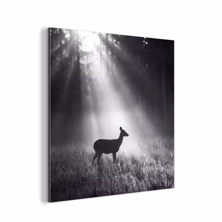 Hert - Bos - Zonnestralen - Zwart-wit - Natuur aluminium wit klein -3d