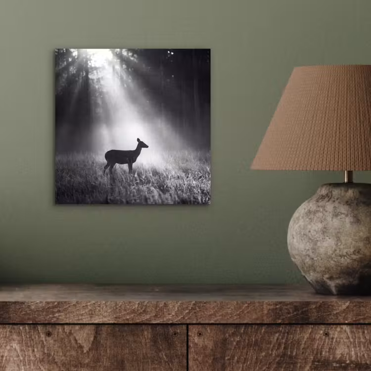 Hert - Bos - Zonnestralen - Zwart-wit - Natuur aluminium wit klein -sfeer2
