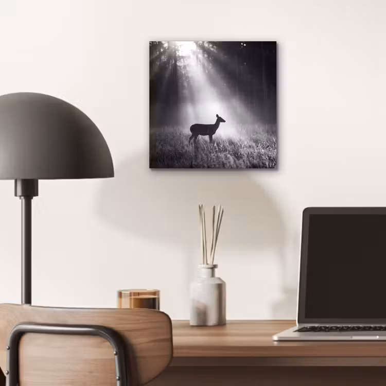 Hert - Bos - Zonnestralen - Zwart-wit - Natuur aluminium wit klein -sfeer5