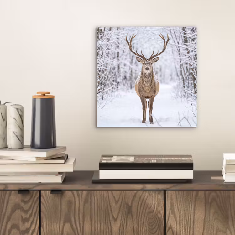 Hert - Winter - Bos - Natuur - Wit aluminium wit klein -sfeer1