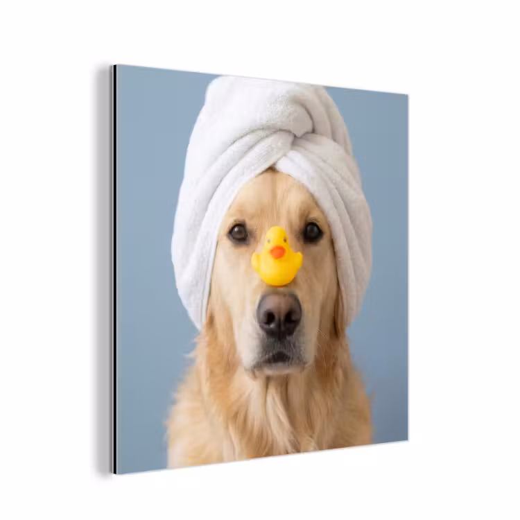 Hond - Badeend - Geel aluminium wit klein -3d
