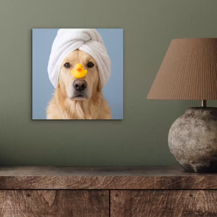 Hond - Badeend - Geel aluminium wit klein -sfeer2