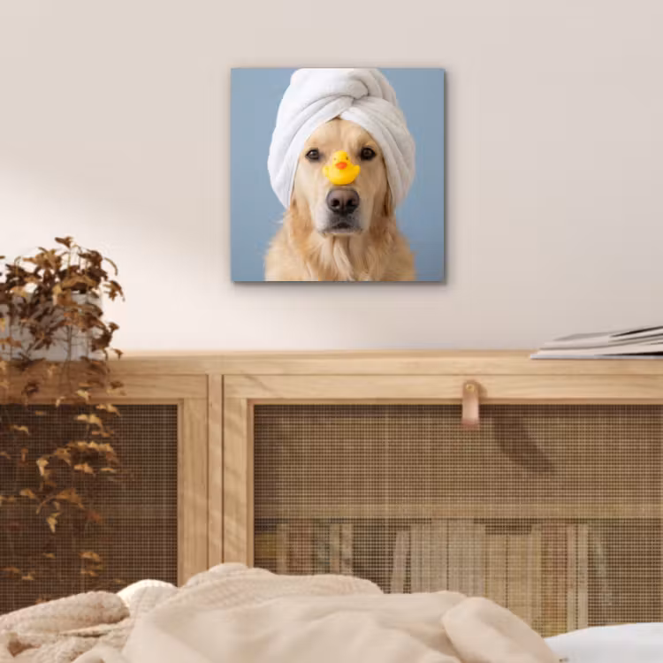 Hond - Badeend - Geel aluminium wit klein -sfeer3