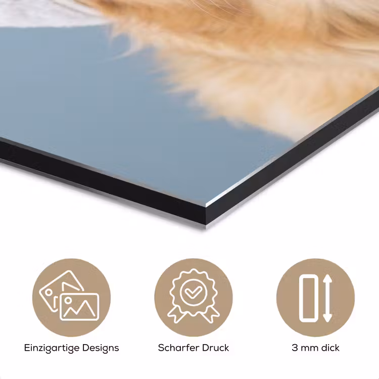 Hond - Badeend - Geel aluminium wit klein -closeup_DE