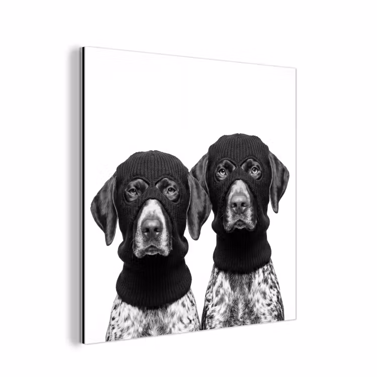 Honden - Bivakmuts - Zwart - wit aluminium wit klein -3d