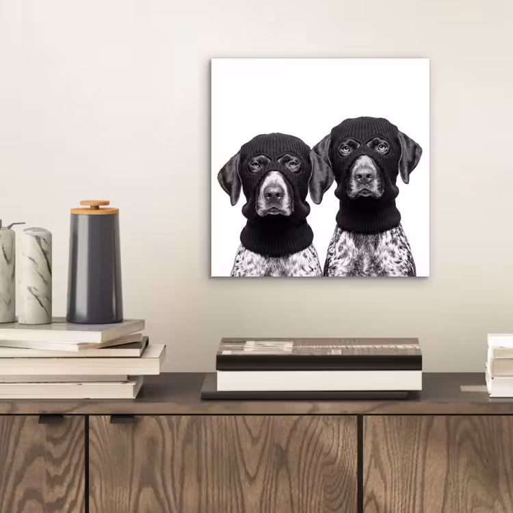 Honden - Bivakmuts - Zwart - wit aluminium wit klein -sfeer1
