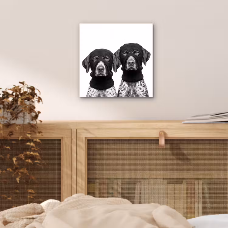 Honden - Bivakmuts - Zwart - wit aluminium wit klein -sfeer3