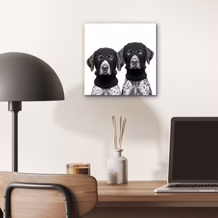 Honden - Bivakmuts - Zwart - wit aluminium wit klein -sfeer5