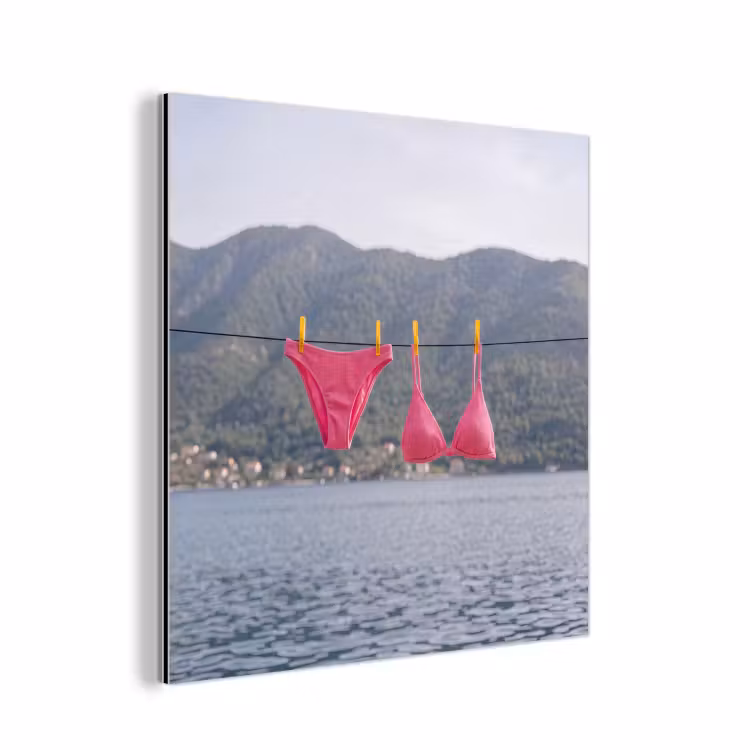 Kleding - Badkleding - Waslijn - Zomer - Roze aluminium wit klein -3d