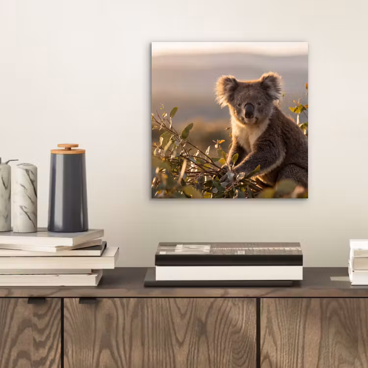 Koala - Bladeren - Ochtendlicht aluminium wit klein -sfeer1