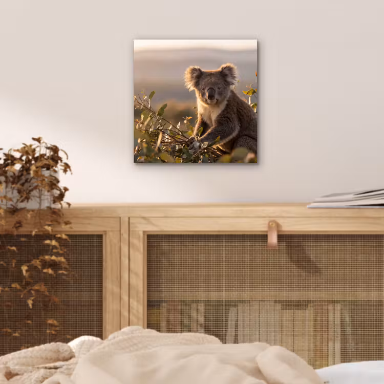 Koala - Bladeren - Ochtendlicht aluminium wit klein -sfeer3