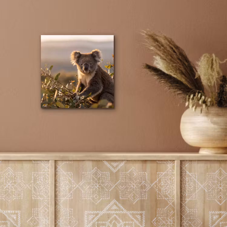 Koala - Bladeren - Ochtendlicht aluminium wit klein -sfeer4