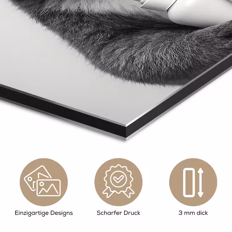 Koala - Bril - Toilet aluminium wit klein -closeup_DE