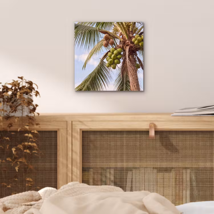 Kokosnoot - Boom - Tropisch - Natuur - Groen aluminium wit klein -sfeer3