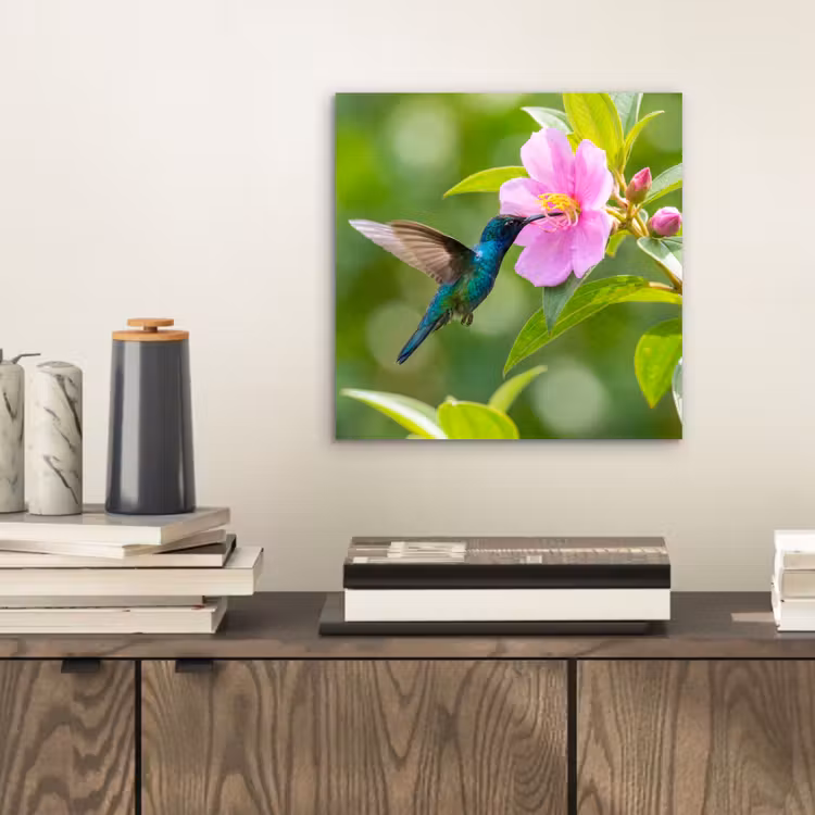 Kolibrie - Bloem - Natuur - Groen aluminium wit klein -sfeer1