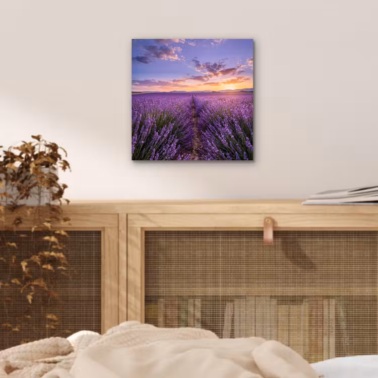 Lavendel - Veld - Natuur - Paars aluminium wit klein -sfeer3