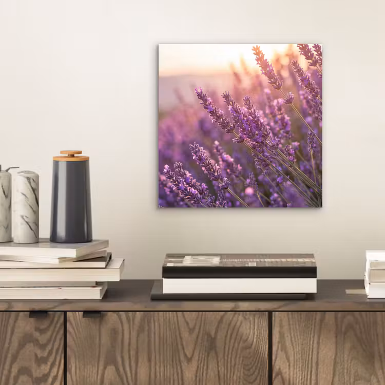 Lavendel - Paars - Zonlicht aluminium wit klein -sfeer1