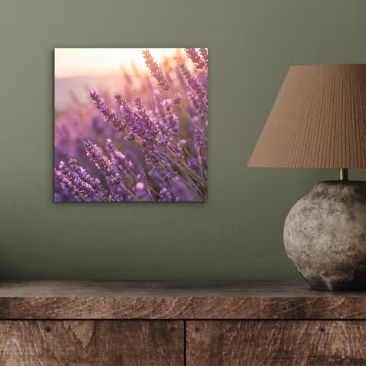 Lavendel - Paars - Zonlicht aluminium wit klein -sfeer2