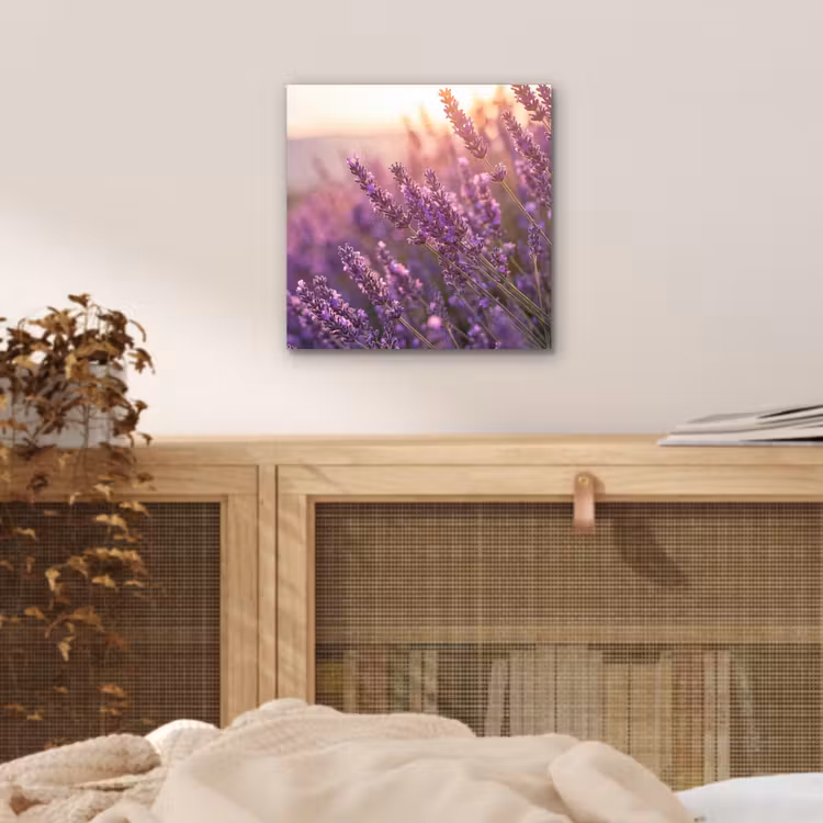 Lavendel - Paars - Zonlicht aluminium wit klein -sfeer3