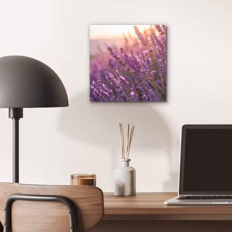 Lavendel - Paars - Zonlicht aluminium wit klein -sfeer5