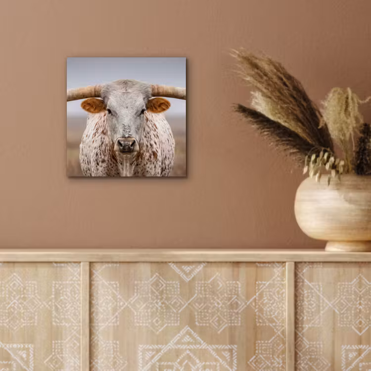 Longhorn - Grasveld - Dier aluminium wit klein -sfeer4