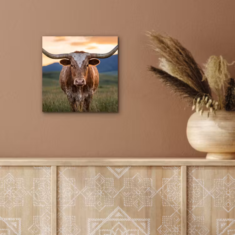 Longhorn - Landschap - Zonsondergang aluminium wit klein -sfeer4