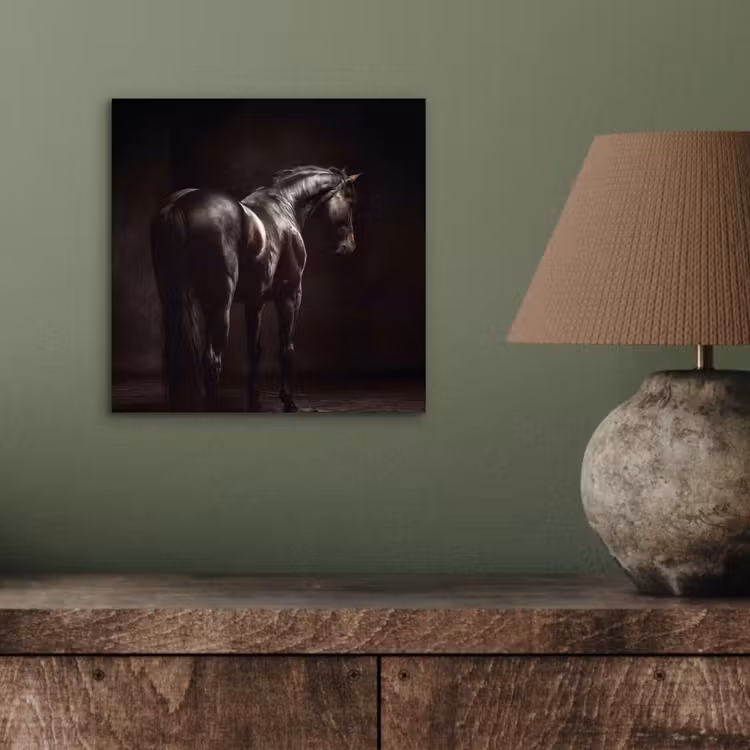 Krachtig - Paard - Donker aluminium wit klein -sfeer2