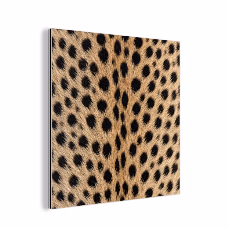 Vacht - Jachtluipaard - Zwart - Wit aluminium wit klein -3d