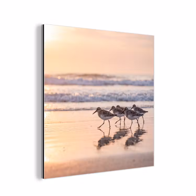 Zee - Vogels - Strand aluminium wit klein -3d