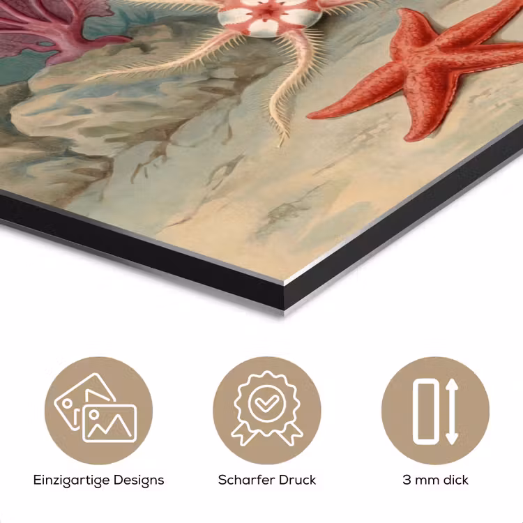 Zeeleven - Kwal - Onderwater - Illustratie - Beige aluminium wit klein -closeup_DE