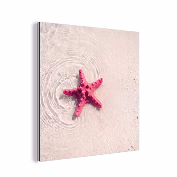 Zeeleven - Zeester - Strand - Roze - Water aluminium wit klein -3d