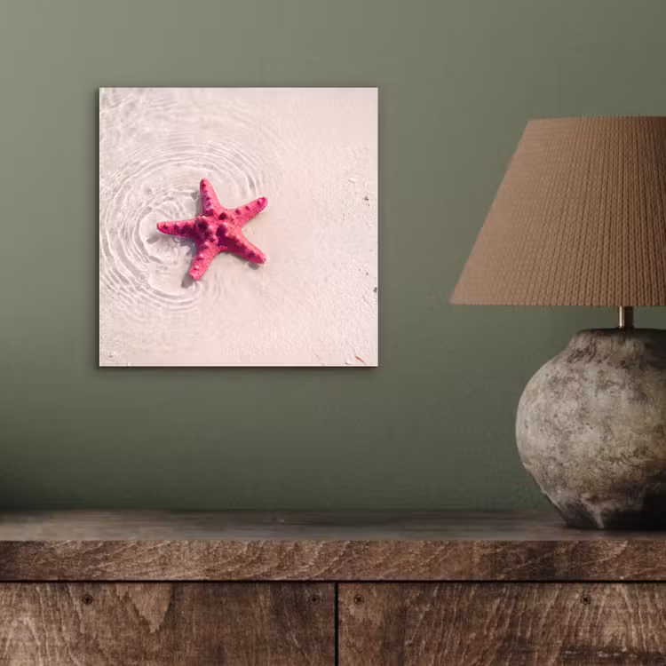 Zeeleven - Zeester - Strand - Roze - Water aluminium wit klein -sfeer2