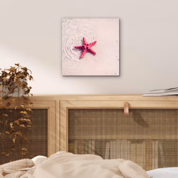 Zeeleven - Zeester - Strand - Roze - Water aluminium wit klein -sfeer3