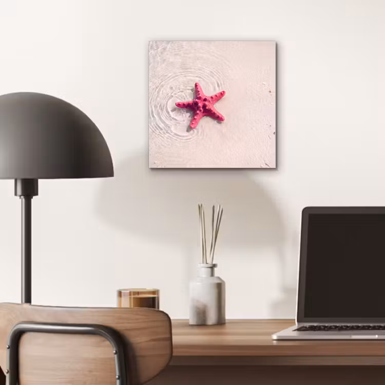 Zeeleven - Zeester - Strand - Roze - Water aluminium wit klein -sfeer5