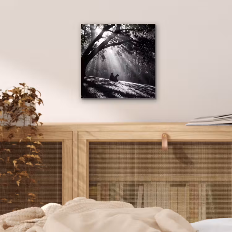 Mens - Hond - Natuur - Zwart-wit - Silhouet aluminium wit klein -sfeer3
