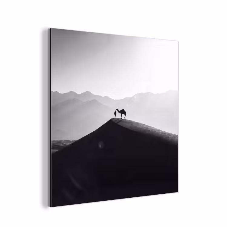 Mens - Kameel - Zandduin - Natuur - Monochroom aluminium wit klein -3d