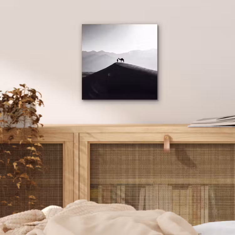 Mens - Kameel - Zandduin - Natuur - Monochroom aluminium wit klein -sfeer3