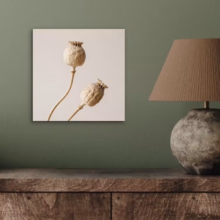 Papaverbollen - Droogbloemen - Minimalistisch - Beige - Rustig aluminium wit klein -sfeer2