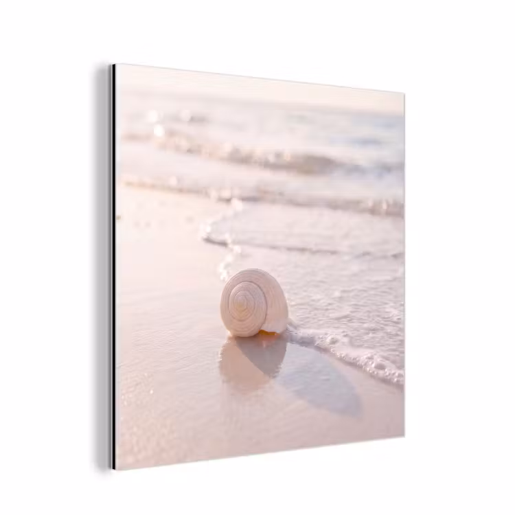 Zeeschelp - Strand - Zee - Natuur - Beige aluminium wit klein -3d