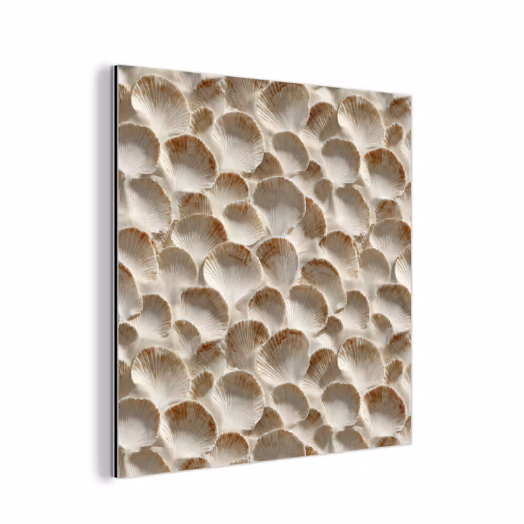 Schelpen - Waaiervorm - Wit aluminium wit klein 46 -3d