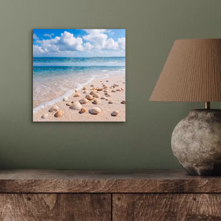 Schelpen - Strand - Natuur - Beige aluminium wit klein -sfeer2