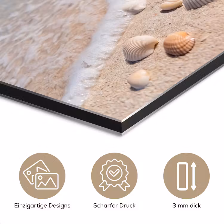 Schelpen - Strand - Natuur - Beige aluminium wit klein -closeup_DE