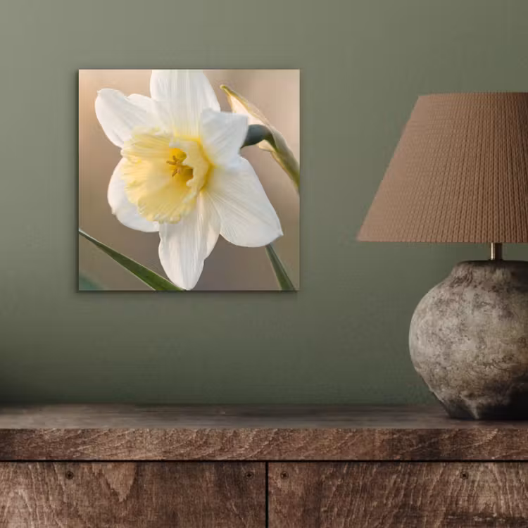 Narcis - Bloem - Minimalistisch aluminium wit klein -sfeer2