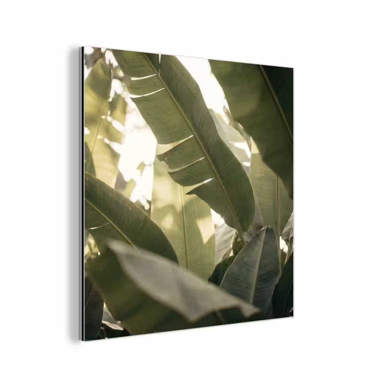 Natuur - Bladeren - Groen - Tropisch - Detail aluminium wit klein -3d