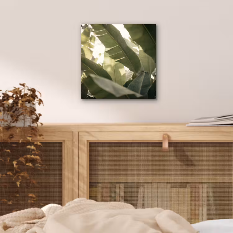 Natuur - Bladeren - Groen - Tropisch - Detail aluminium wit klein -sfeer3