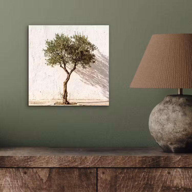 Alu-Dibond-Bild - Olivenbaum – Wand – weiß - Olijfboom - muur - wit aluminium wit klein